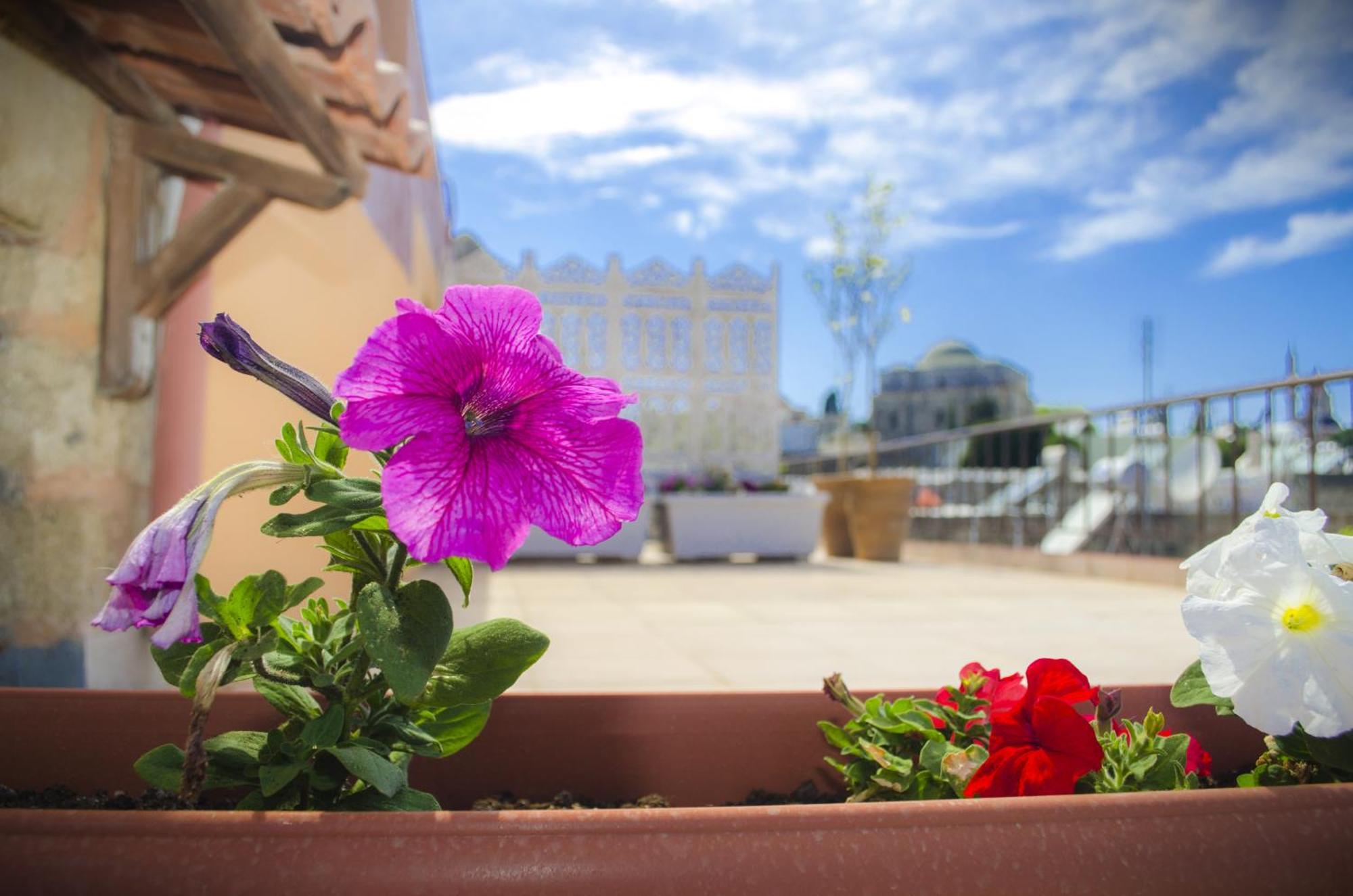 Petrino Aparthotel Rhodes City Стая снимка